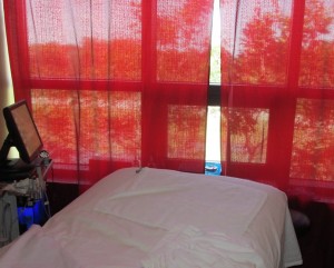 Facial Room